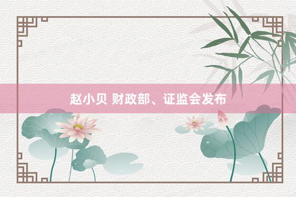 赵小贝 财政部、证监会发布