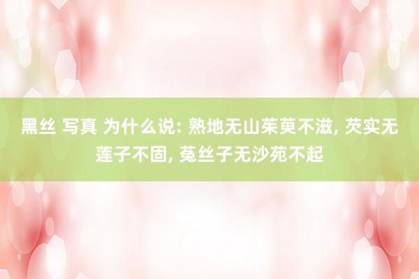 黑丝 写真 为什么说: 熟地无山茱萸不滋， 芡实无莲子不固， 菟丝子无沙苑不起