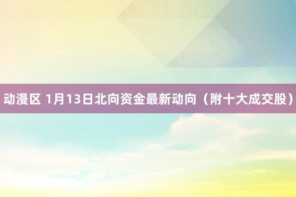 动漫区 1月13日北向资金最新动向(附十大成交股)