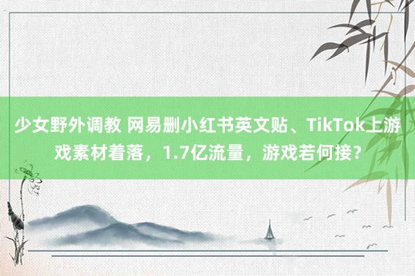 少女野外调教 网易删小红书英文贴、TikTok上游戏素材着落,1.7亿流量,游戏若何接?