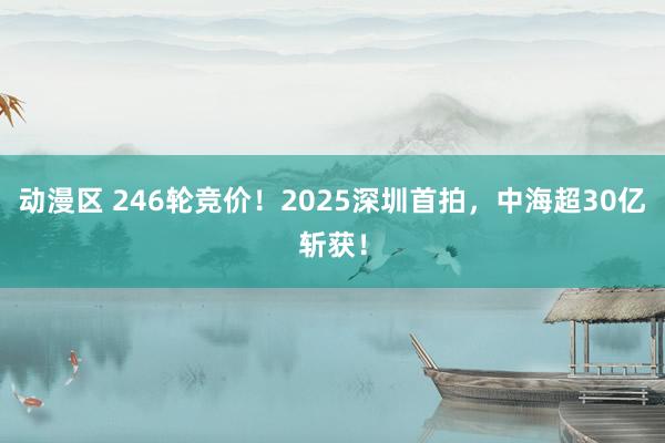 动漫区 246轮竞价!2025深圳首拍,中海超30亿斩获!