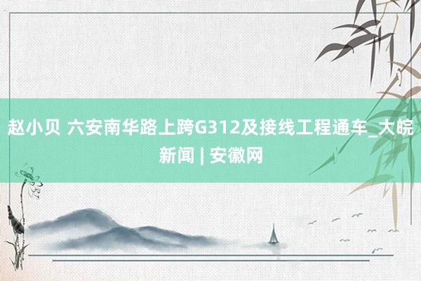赵小贝 六安南华路上跨G312及接线工程通车_大皖新闻 | 安徽网