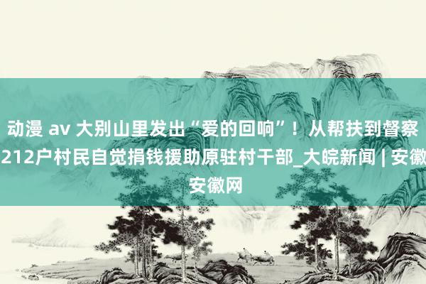 动漫 av 大别山里发出“爱的回响”!从帮扶到督察,212户村民自觉捐钱援助原驻村干部_大皖新闻 | 安徽网