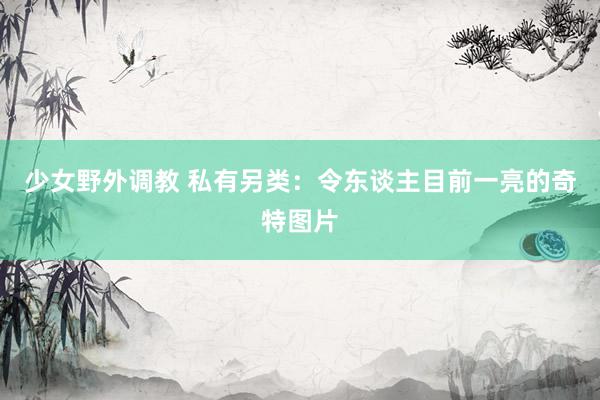 少女野外调教 私有另类:令东谈主目前一亮的奇特图片