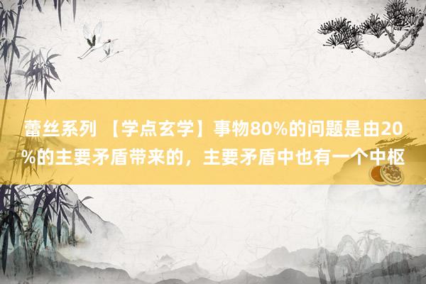 蕾丝系列 【学点玄学】事物80%的问题是由20%的主要矛盾带来的,主要矛盾中也有一个中枢