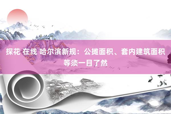 探花 在线 哈尔滨新规:公摊面积、套内建筑面积等须一目了然