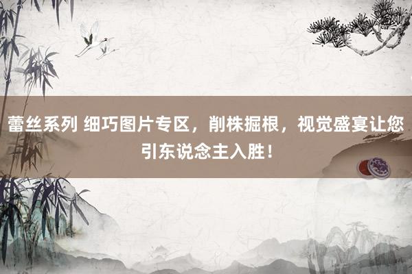蕾丝系列 细巧图片专区,削株掘根,视觉盛宴让您引东说念主入胜!