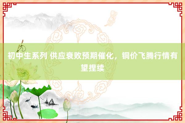 初中生系列 供应衰败预期催化，铜价飞腾行情有望捏续