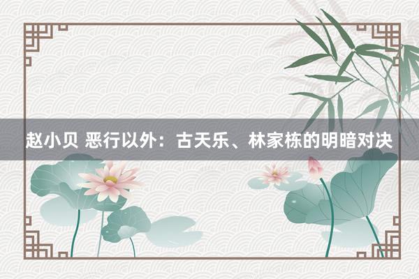 赵小贝 恶行以外：古天乐、林家栋的明暗对决
