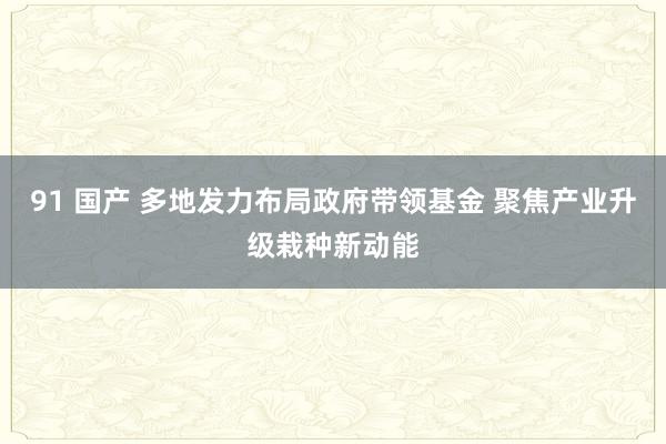 91 国产 多地发力布局政府带领基金 聚焦产业升级栽种新动能