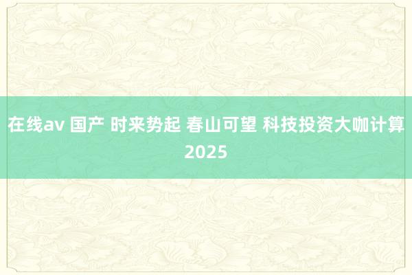 在线av 国产 时来势起 春山可望 科技投资大咖计算2025