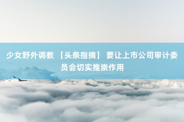 少女野外调教 【头条指摘】 要让上市公司审计委员会切实推崇作用