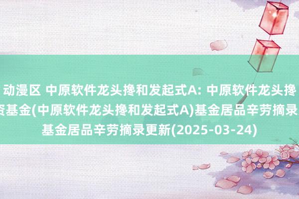 动漫区 中原软件龙头搀和发起式A: 中原软件龙头搀和型发起式证券投资基金(中原软件龙头搀和发起式A)基金居品辛劳摘录更新(2025-03-24)
