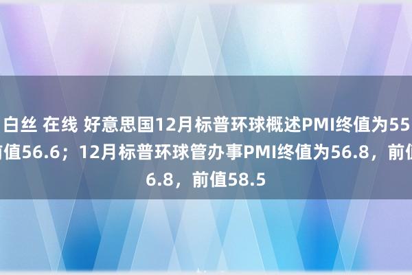 白丝 在线 好意思国12月标普环球概述PMI终值为55.4，前值56.6；12月标普环球管办事PMI终值为56.8，前值58.5