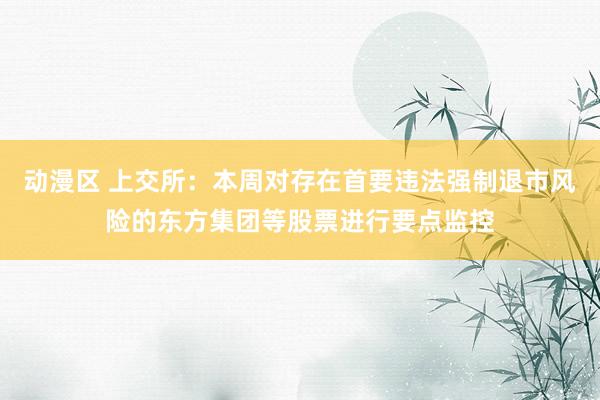 动漫区 上交所：本周对存在首要违法强制退市风险的东方集团等股票进行要点监控