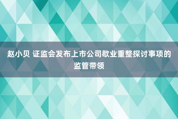 赵小贝 证监会发布上市公司歇业重整探讨事项的监管带领