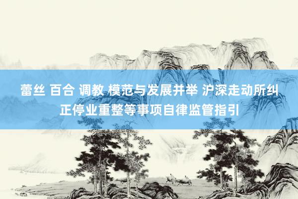 蕾丝 百合 调教 模范与发展并举 沪深走动所纠正停业重整等事项自律监管指引