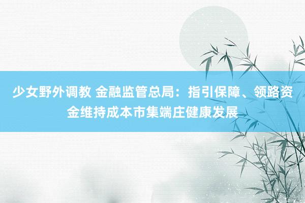 少女野外调教 金融监管总局:指引保障、领路资金维持成本市集端庄健康发展
