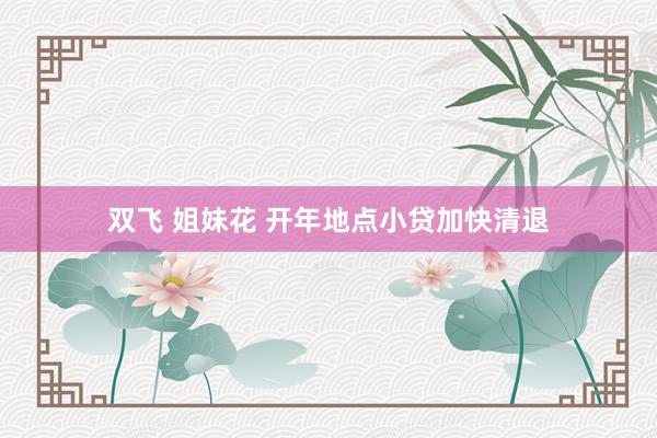 双飞 姐妹花 开年地点小贷加快清退