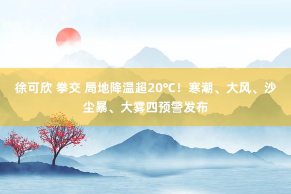 徐可欣 拳交 局地降温超20℃!寒潮、大风、沙尘暴、大雾四预警发布