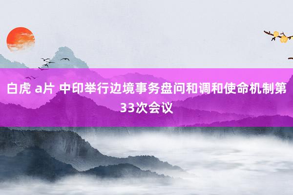 白虎 a片 中印举行边境事务盘问和调和使命机制第33次会议