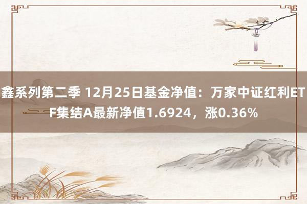 鑫系列第二季 12月25日基金净值:万家中证红利ETF集结A最新净值1.6924,涨0.36%