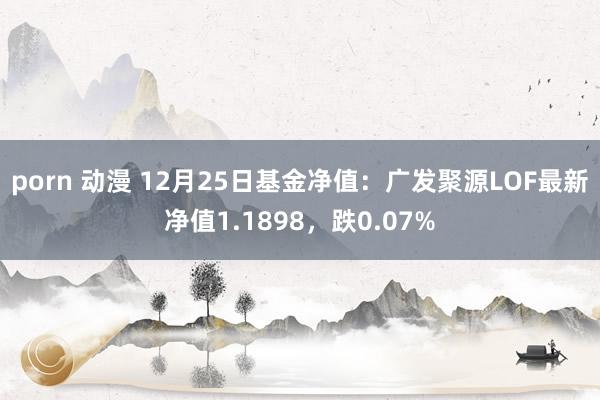 porn 动漫 12月25日基金净值：广发聚源LOF最新净值1.1898，跌0.07%