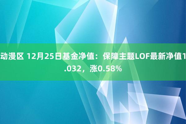 动漫区 12月25日基金净值:保障主题LOF最新净值1.032,涨0.58%