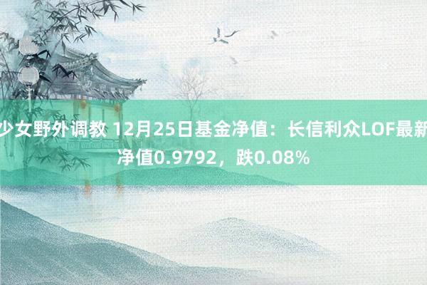 少女野外调教 12月25日基金净值：长信利众LOF最新净值0.9792，跌0.08%