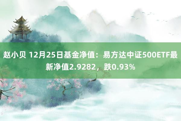 赵小贝 12月25日基金净值:易方达中证500ETF最新净值2.9282,跌0.93%