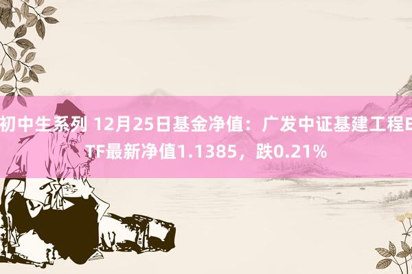 初中生系列 12月25日基金净值:广发中证基建工程ETF最新净值1.1385,跌0.21%