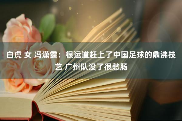 白虎 女 冯潇霆:很运道赶上了中国足球的鼎沸技艺 广州队没了很愁肠