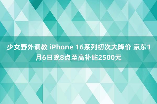 少女野外调教 iPhone 16系列初次大降价 京东1月6日晚8点至高补贴2500元