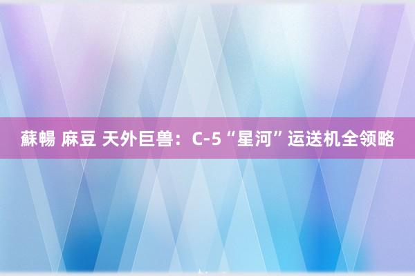 蘇暢 麻豆 天外巨兽：C-5“星河”运送机全领略