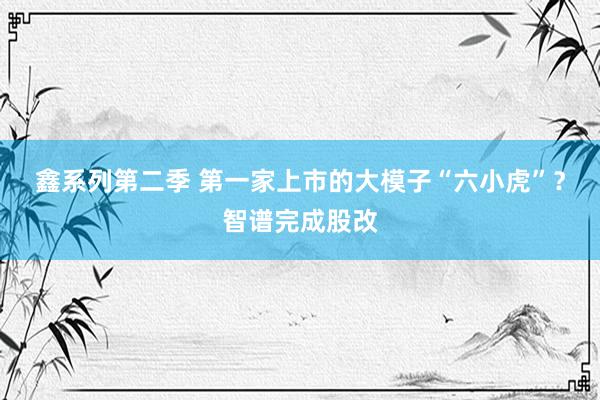 鑫系列第二季 第一家上市的大模子“六小虎”?智谱完成股改