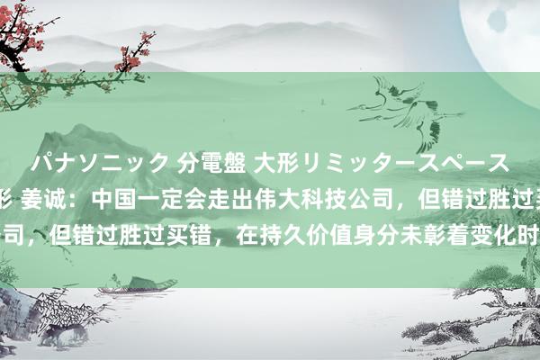 パナソニック 分電盤 大形リミッタースペース付 露出・半埋込両用形 姜诚:中国一定会走出伟大科技公司,但错过胜过买错,在持久价值身分未彰着变化时,越跌越买