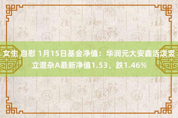 女生 自慰 1月15日基金净值:华润元大安鑫活泼竖立混杂A最新净值1.53,跌1.46%