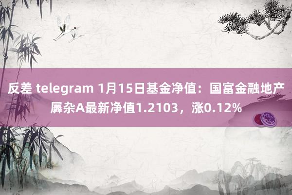 反差 telegram 1月15日基金净值:国富金融地产羼杂A最新净值1.2103,涨0.12%