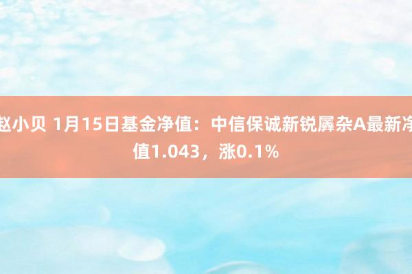 赵小贝 1月15日基金净值：中信保诚新锐羼杂A最新净值1.043，涨0.1%