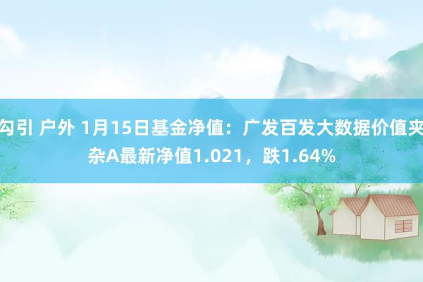勾引 户外 1月15日基金净值:广发百发大数据价值夹杂A最新净值1.021,跌1.64%