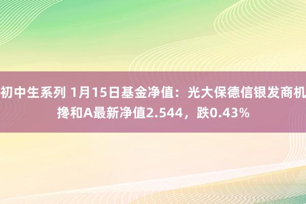 初中生系列 1月15日基金净值：光大保德信银发商机搀和A最新净值2.544，跌0.43%