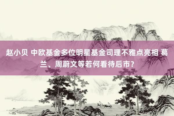 赵小贝 中欧基金多位明星基金司理不雅点亮相 葛兰、周蔚文等若何看待后市?