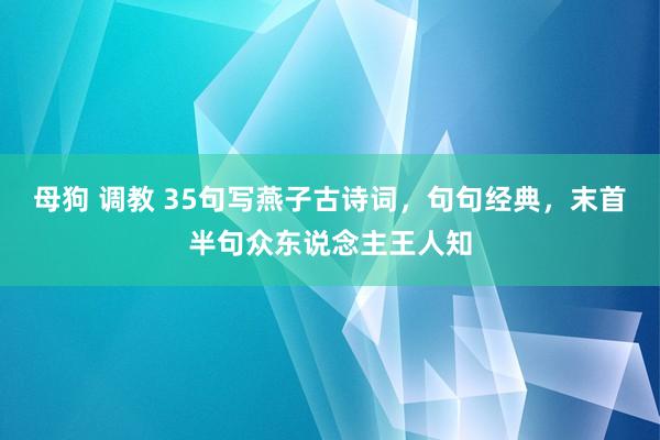 母狗 调教 35句写燕子古诗词,句句经典,末首半句众东说念主王人知