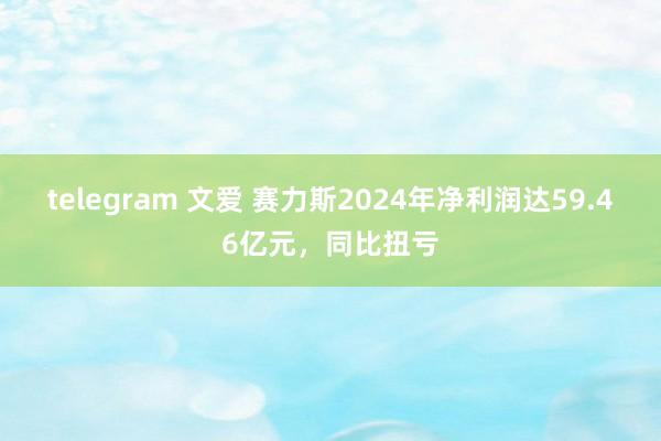 telegram 文爱 赛力斯2024年净利润达59.46亿元，同比扭亏