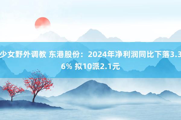 少女野外调教 东港股份：2024年净利润同比下落3.36% 拟10派2.1元