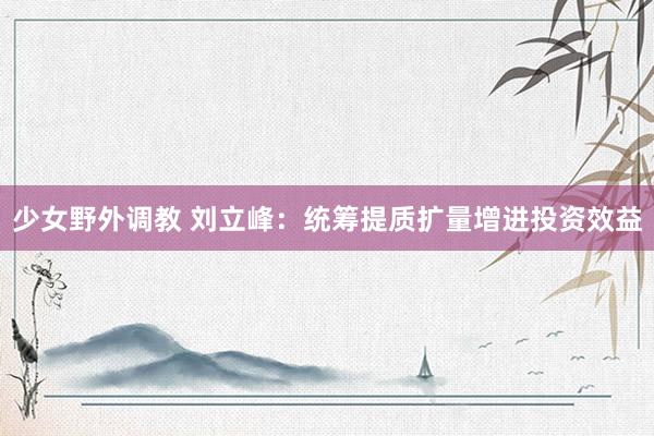 少女野外调教 刘立峰:统筹提质扩量增进投资效益