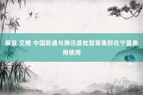麻豆 艾鲤 中国联通与腾讯首批智算集群在宁夏委用使用