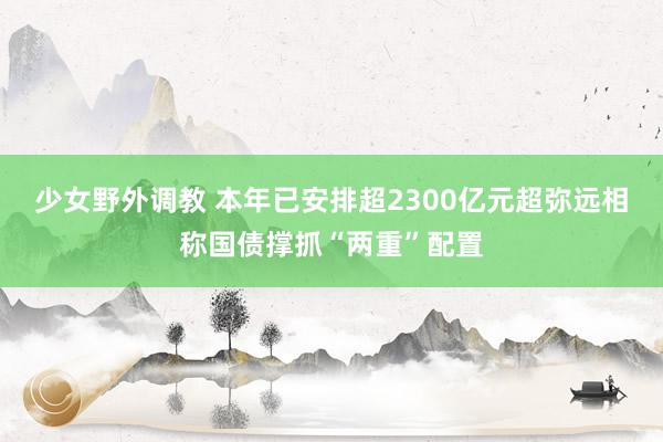 少女野外调教 本年已安排超2300亿元超弥远相称国债撑抓“两重”配置