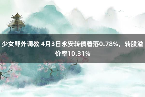 少女野外调教 4月3日永安转债着落0.78%,转股溢价率10.31%