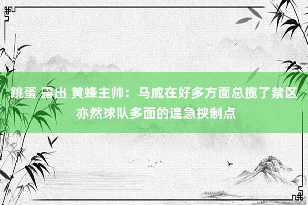 跳蛋 露出 黄蜂主帅：马威在好多方面总揽了禁区 亦然球队多面的遑急挟制点